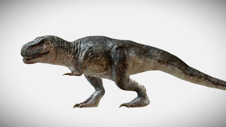 Dinosaur 3D models - Sketchfab