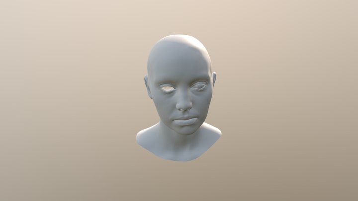 Alembic Scene Test 3D Model