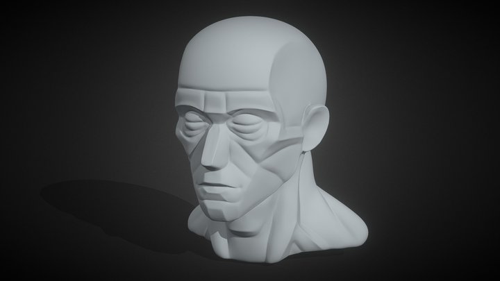 Head Planes 3d Sculpt