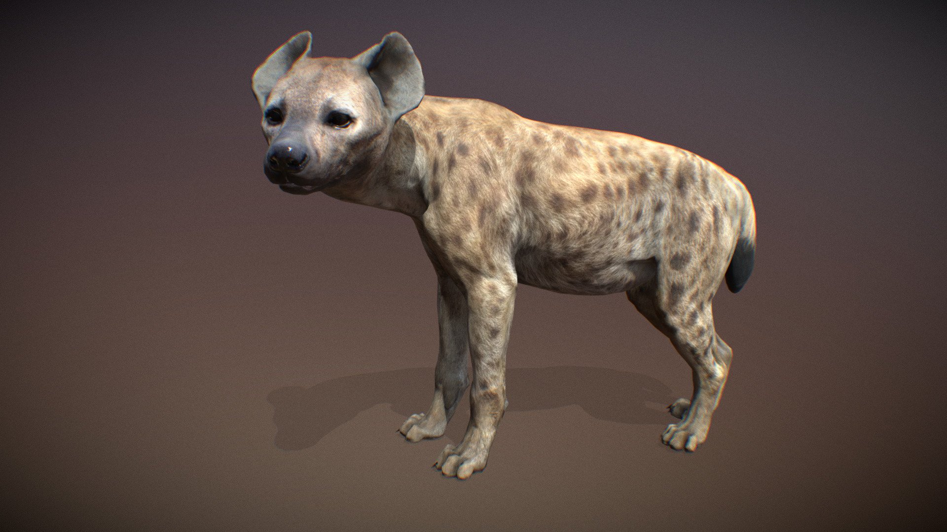 Animalia - Spotted Hyena (male) - 3D model by GiM (@GamesInMotion