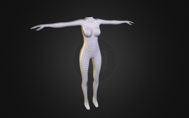 Female Body 3D Model