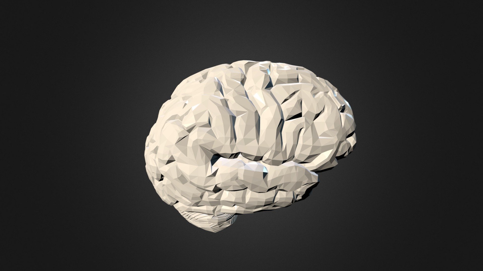 3d brain app