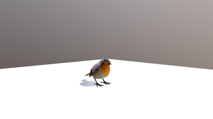 High-Per Realistic Europen Robin