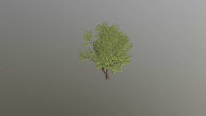 Mahogany tree model 3D Model