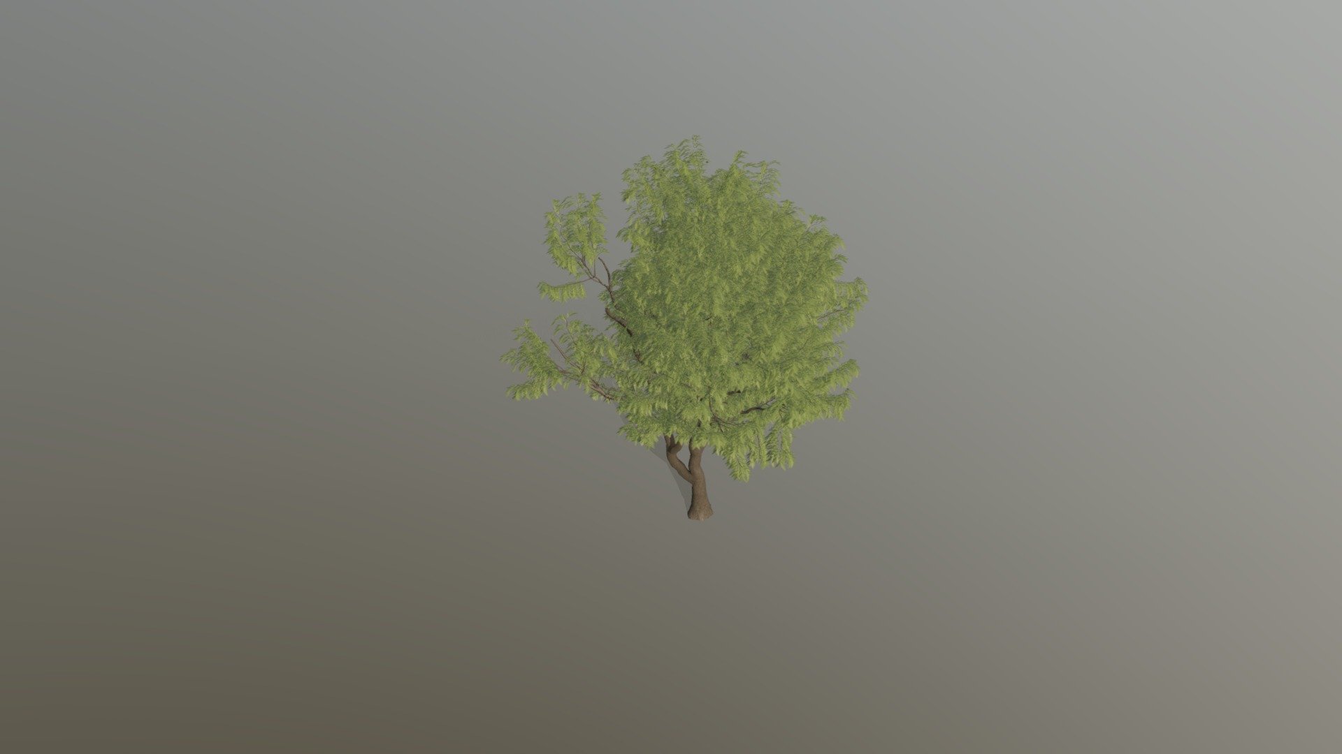 Mahogany tree model - Download Free 3D model by Maskable [49c224f ...