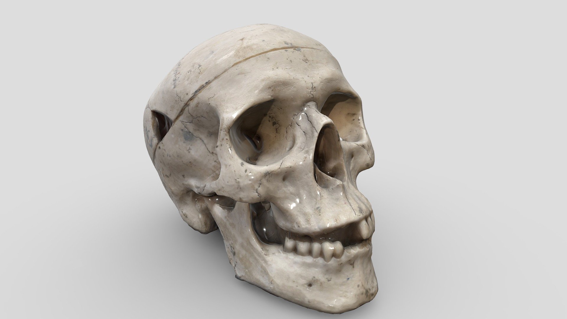 Skull 3D scan