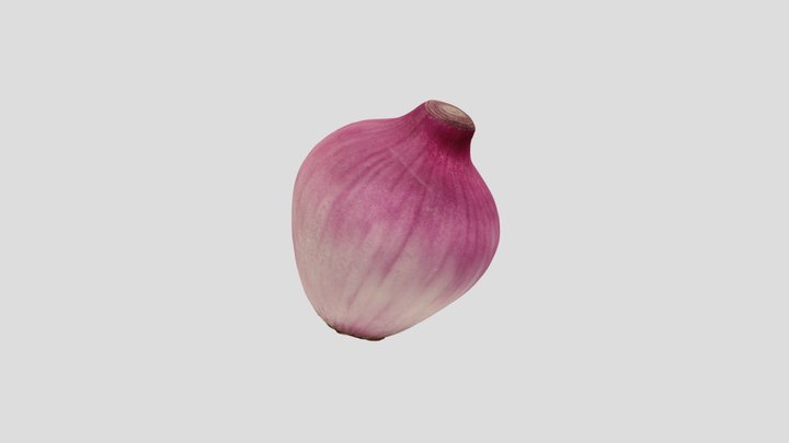 Angela Xu_Onion 3D Model