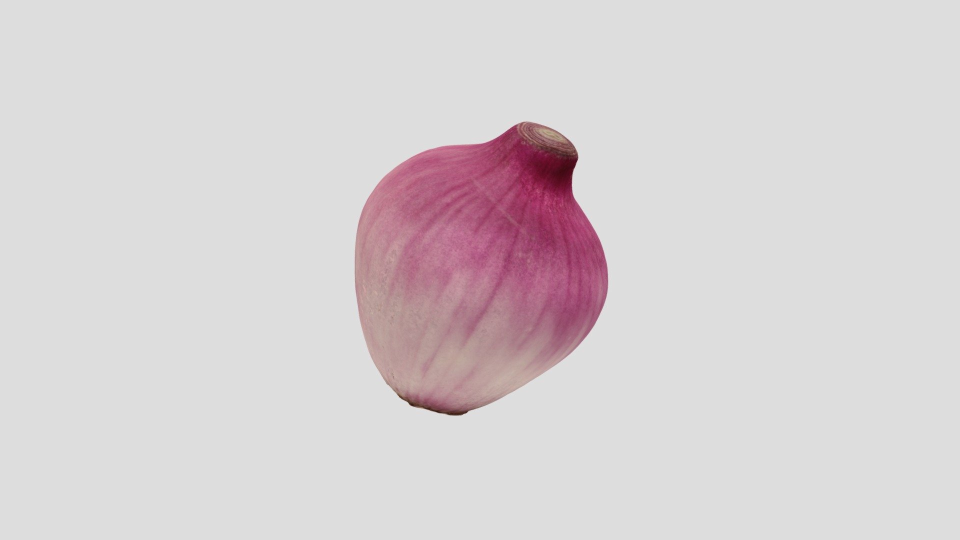 Angela Xu_Onion