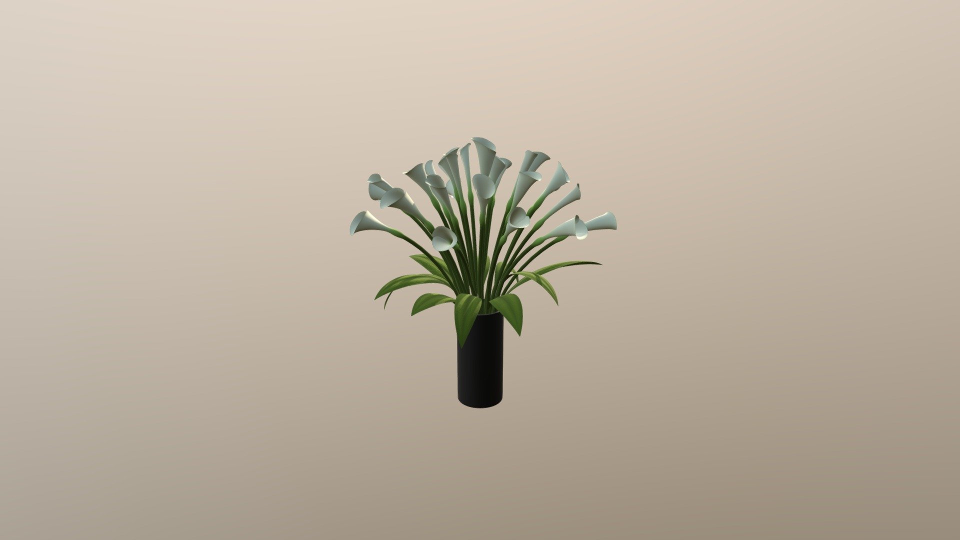 Plant2