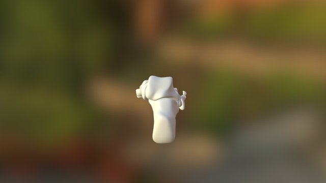 Foot 3D Model