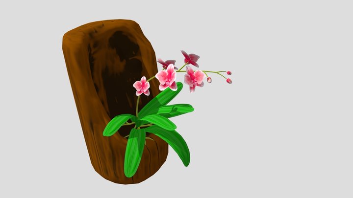 Orquidea 3D Model