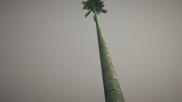 Bamboo tree 3D Model