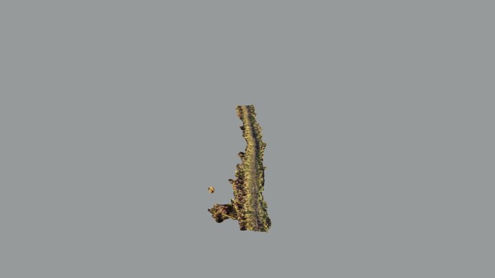 Walking on the path 3D Model