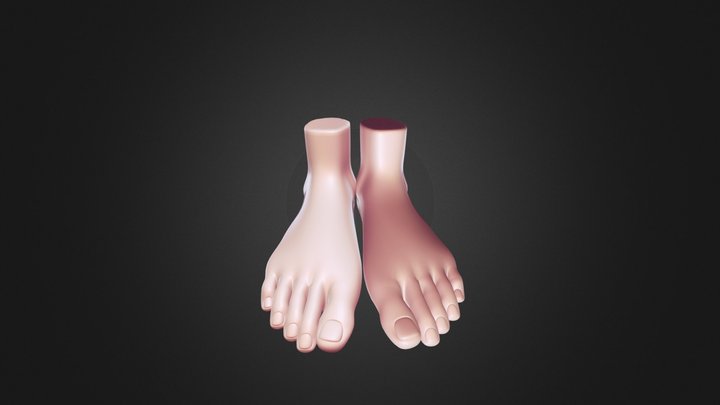 Sketch Feet 3D Model