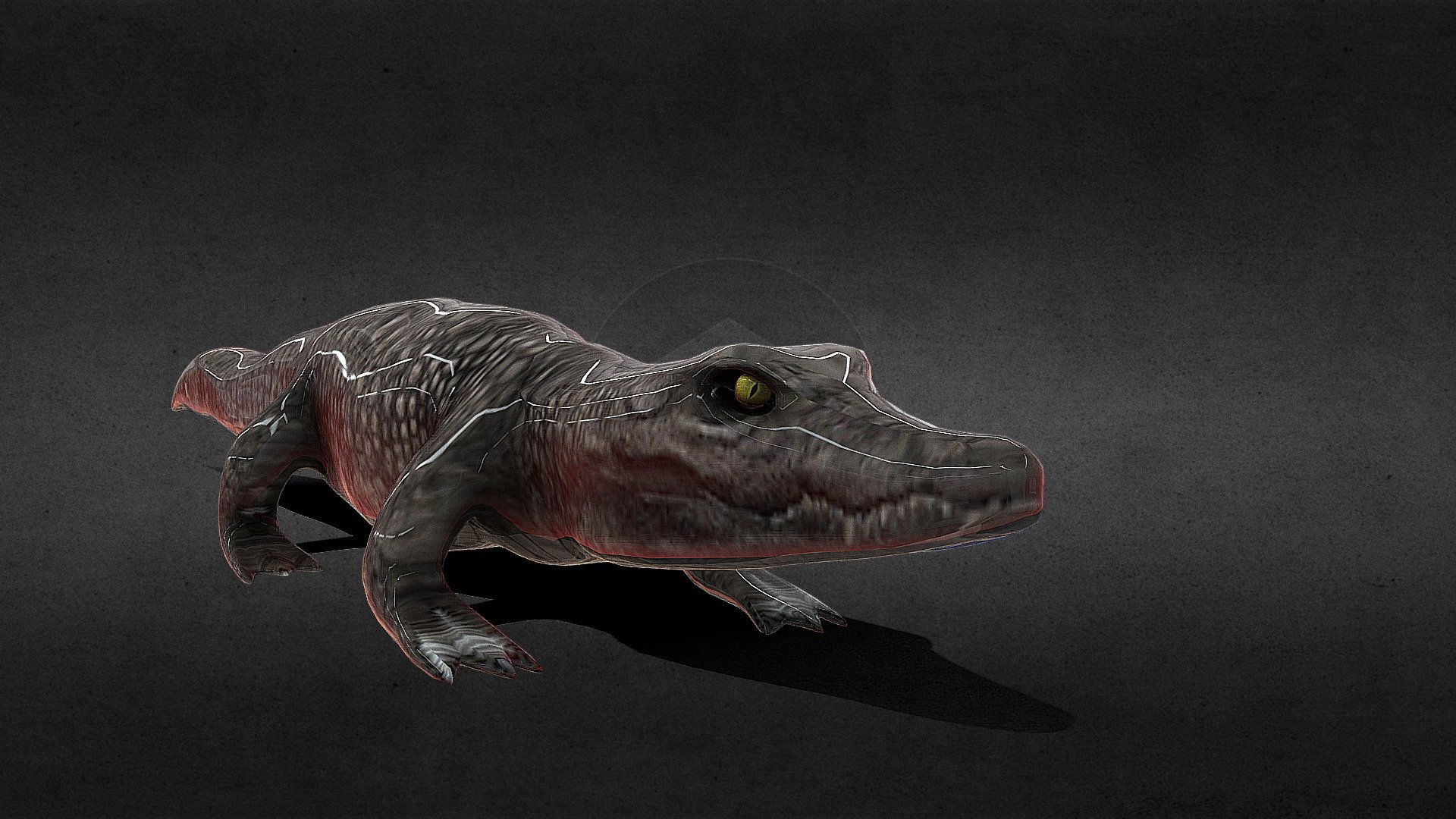 crocodile