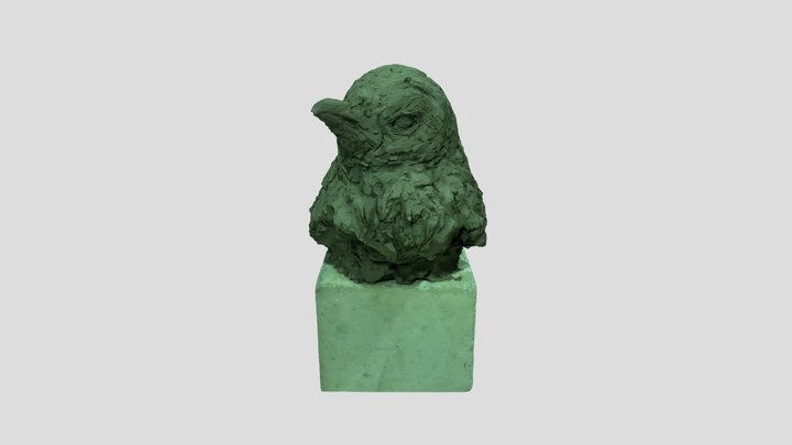 ペンギン 3D Model