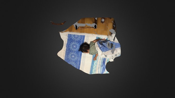 DanaSleeping 3D Model
