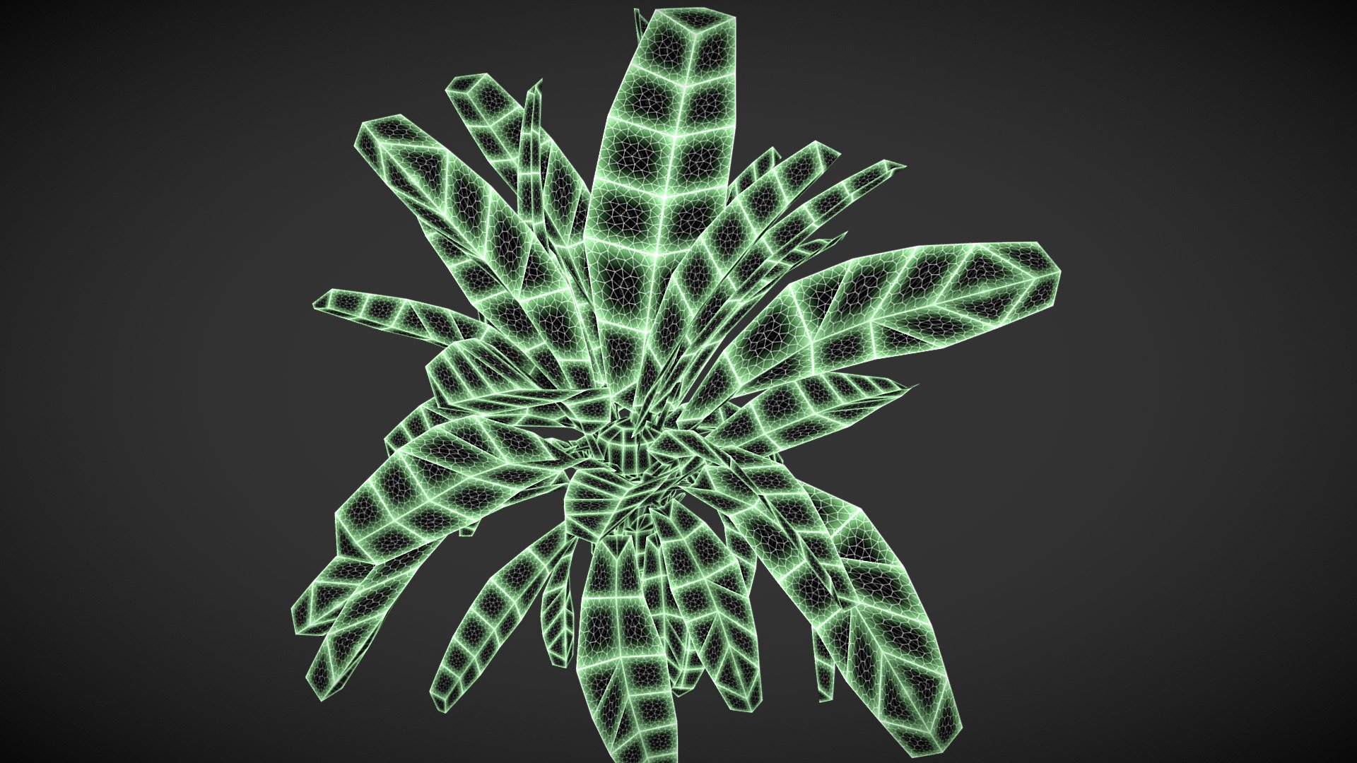 LOFI PalmTree