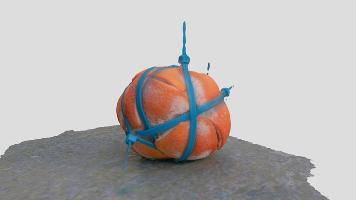Grapefruit 3D Model