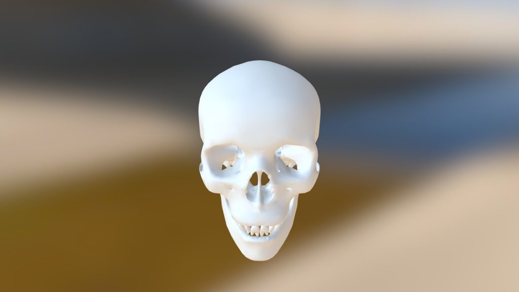 Low Poly Skull Model for Games