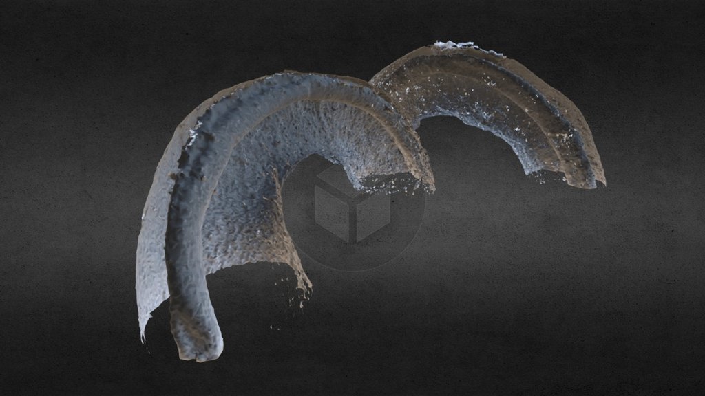 Micro CT Demo 01 - 3D model by RPA IAS (@kai.cheng) [49e14d0] - Sketchfab