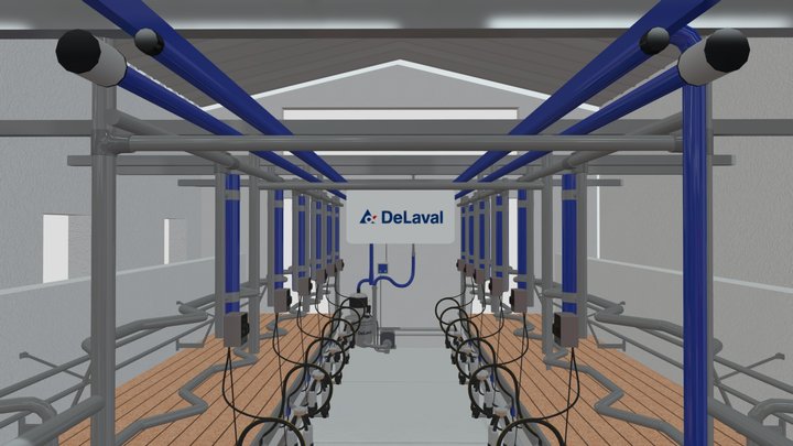 DvLB 3D Model