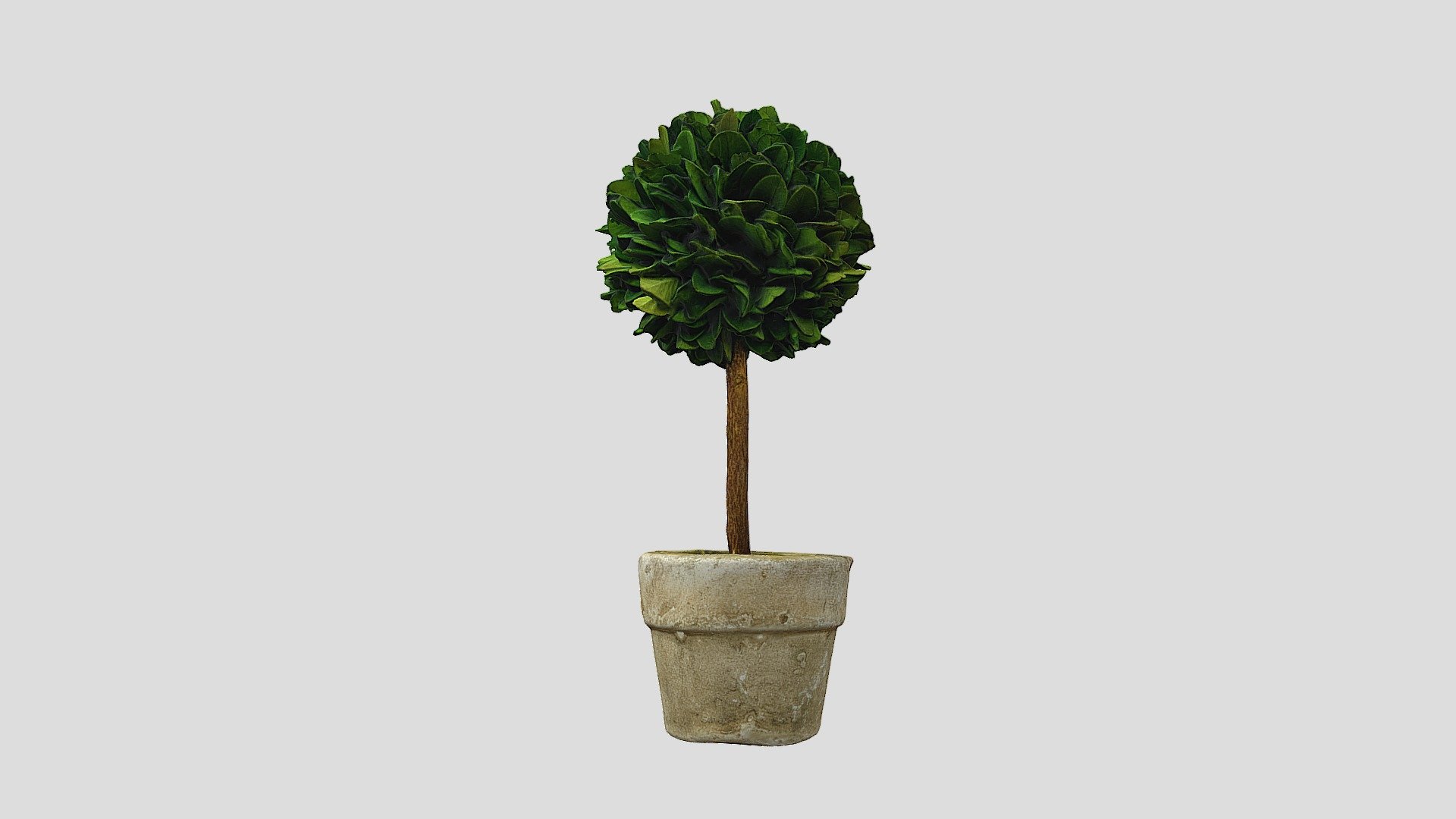 Mini Fake Plant - 3D model by satosinc360 [49e6add] - Sketchfab