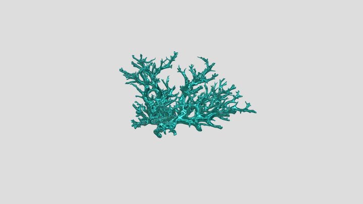 Bl 3D Model