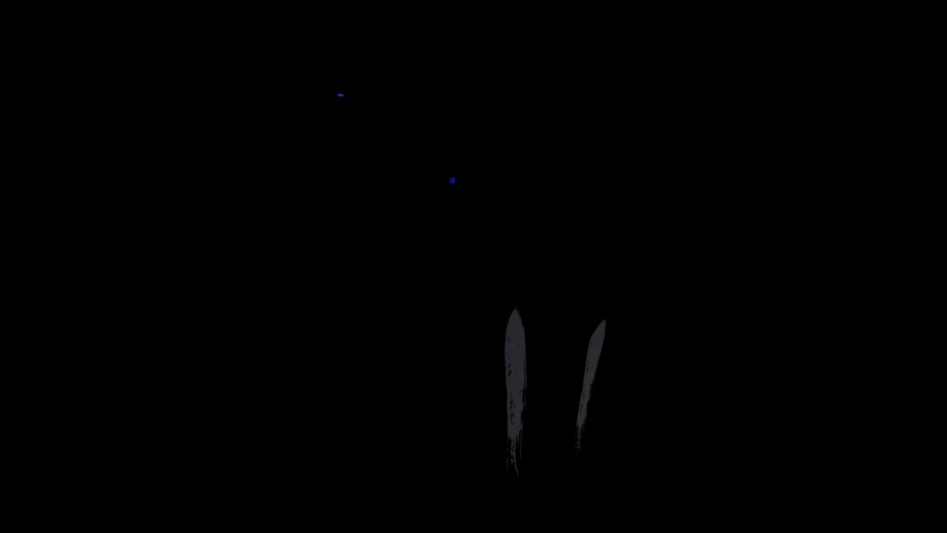 Animas instalation p3