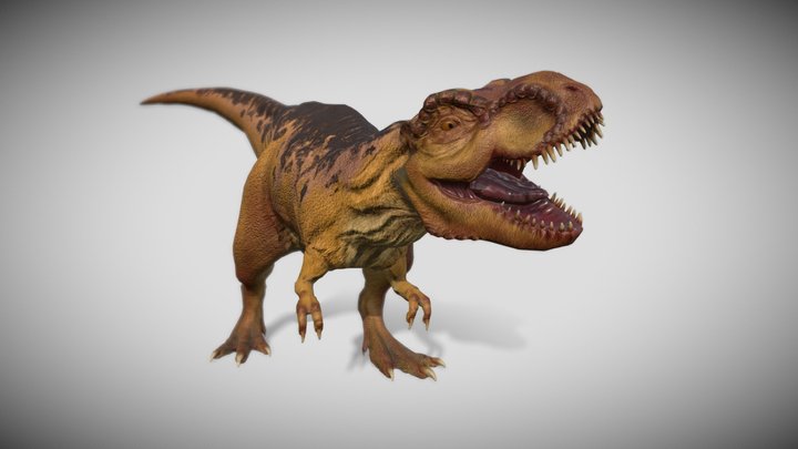 T- Rex 3D Model