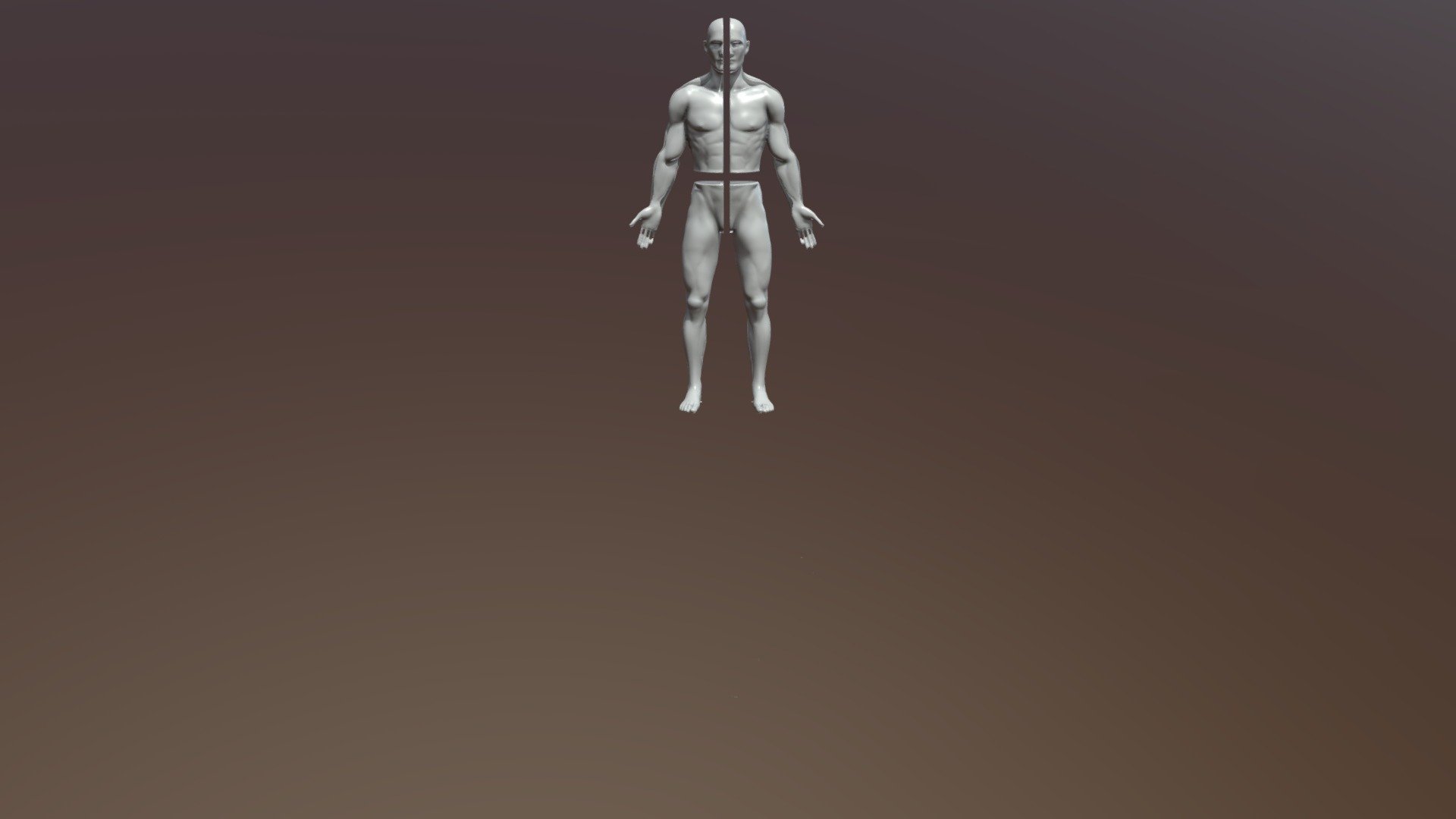 MODEL 3D CUERPO HUMAÑO