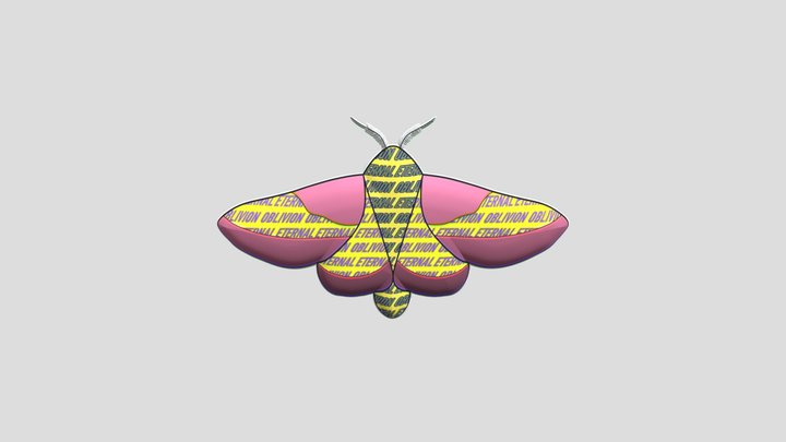 Moth 1 3D Model