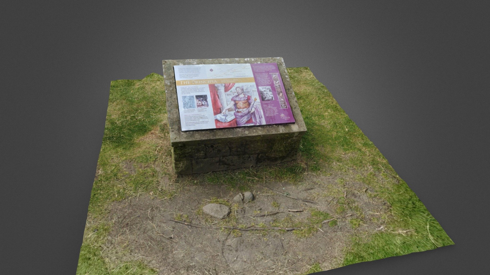 Barr Hill Fort Stone