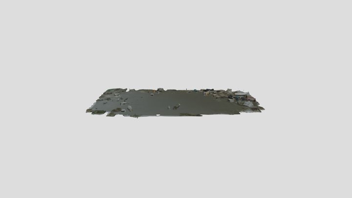 Polluted Shoreline 3d Model 3D Model