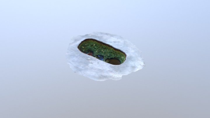 MODEL 3D Model
