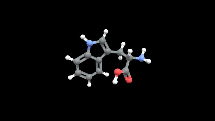 Tryptophan – Kostenloses 3D-Modell STL