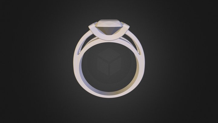 ring 4 3D Model