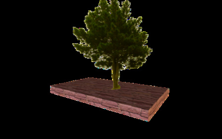tree tests 3D Model
