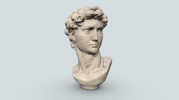 Bust of David - 3D Scan 3D Model