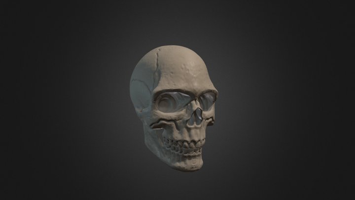 Ejercicio 2.1 - Skull- Aitor 3D Model