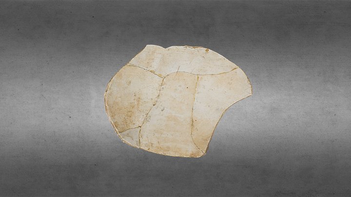 NHMU Ceramic Sherd 1010 3D Model