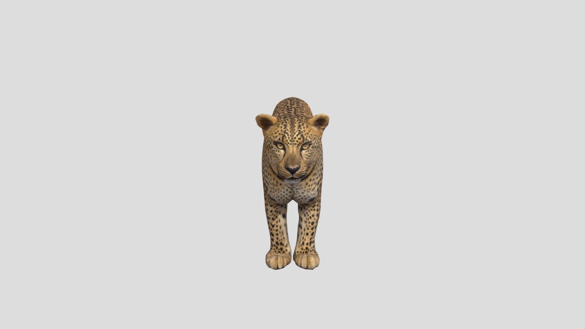 Leopard - 3D model by mangalbarwadiya2233 [4a10d9a] - Sketchfab