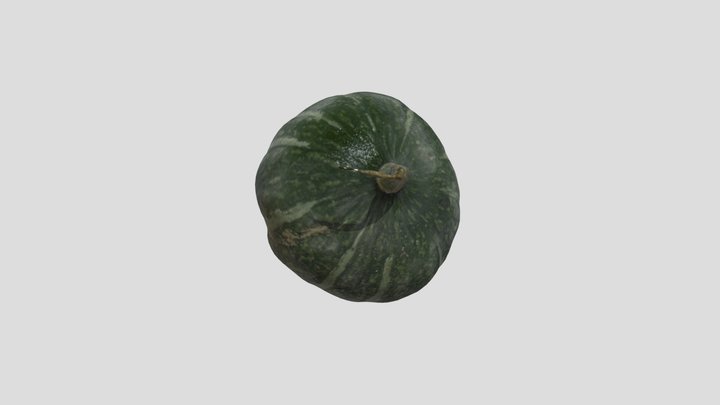 Buttercup Squash 3D Model