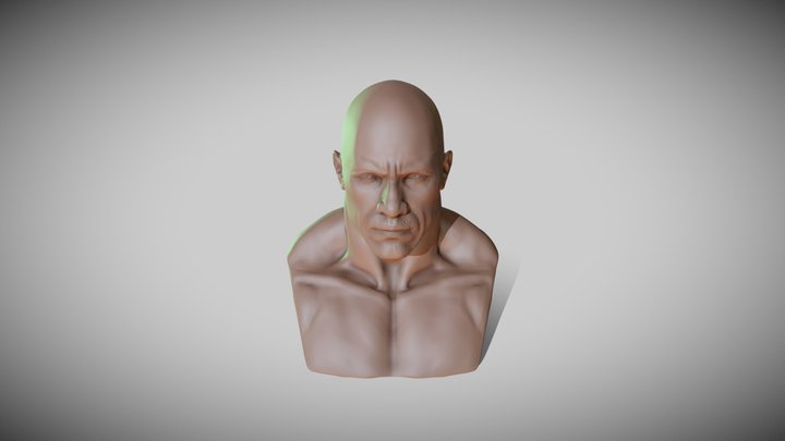Merged_91 3D Model