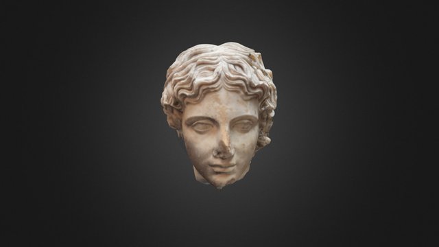Marble head of a youth 3D Model