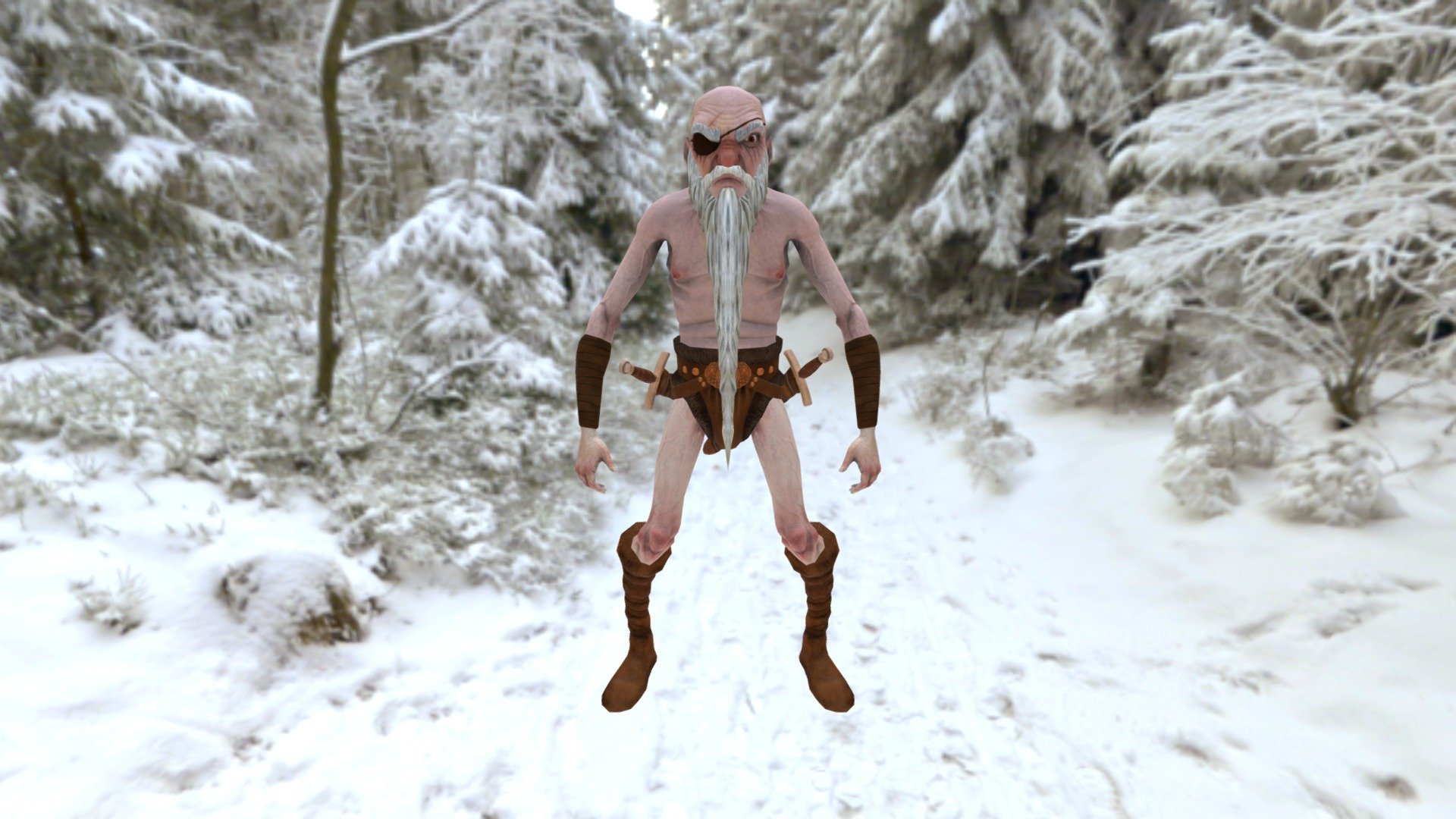 Cohen The Barbarian