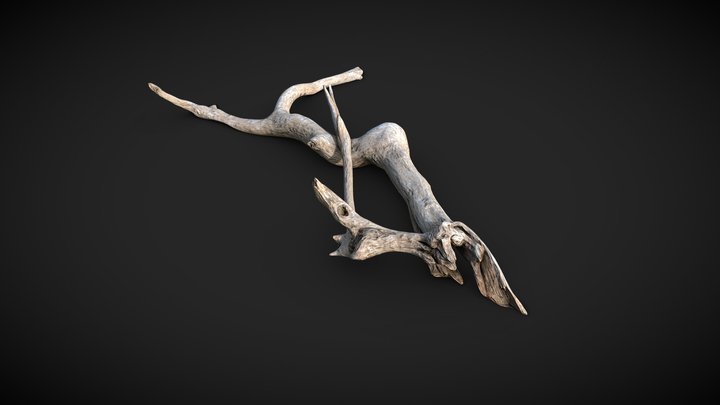 Tree log - Low poly 3D Model