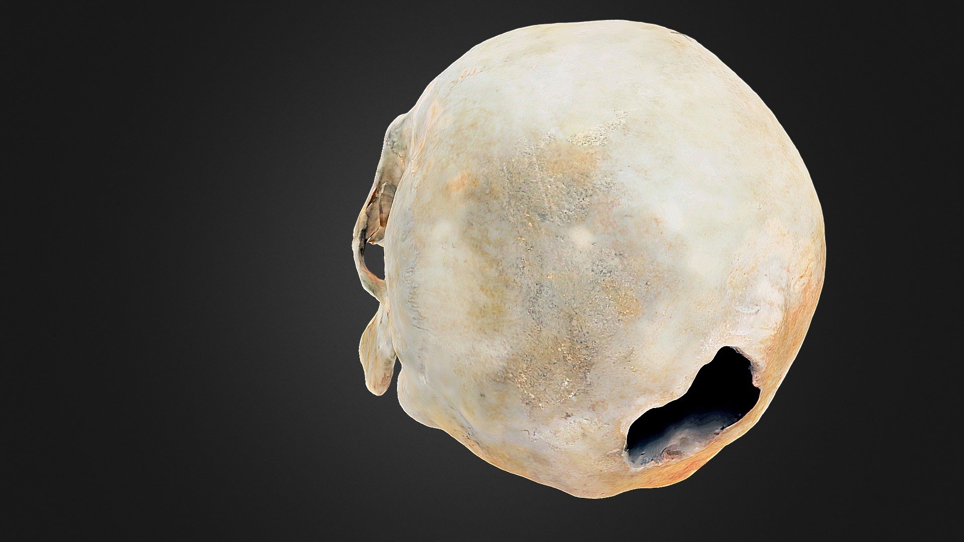 Skull 04 (version 1)
