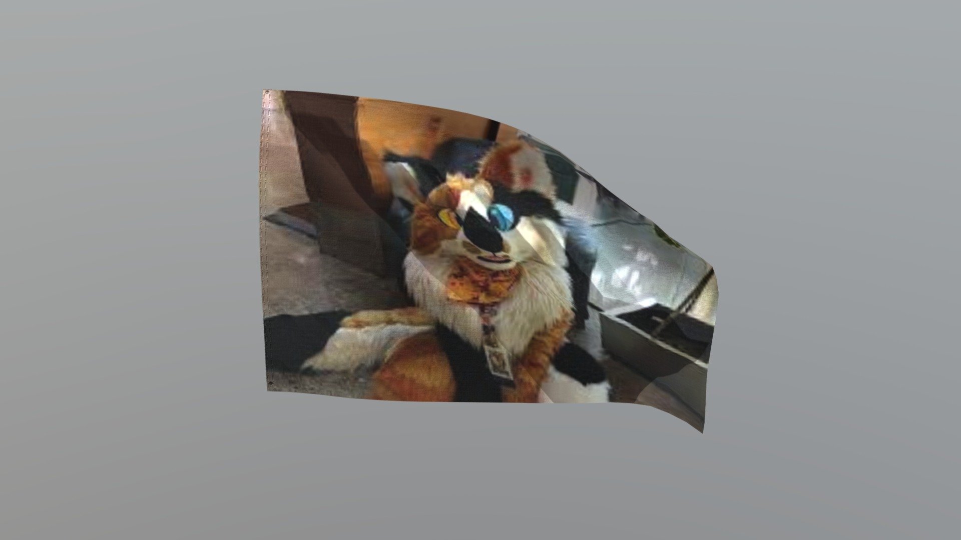 Flag Of Pudgical