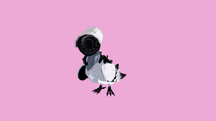 Pigeon 3D Model